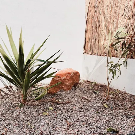 Avec Jardin Privatif A 300m De La *2* Apartment *