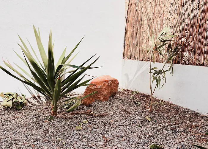 Avec Jardin Privatif A 300m De La *2* Daire *